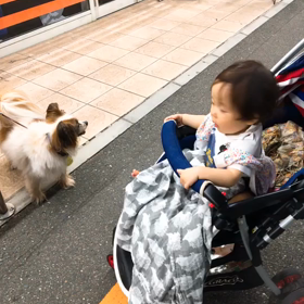 夜はお父さんをお風呂にお迎えの画像