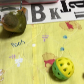 仕事始めの画像