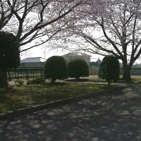 桜の駅にての画像