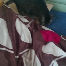 うっとりの画像