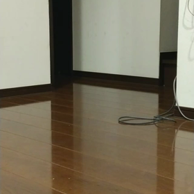 姫ちゃん今日も元気！の画像