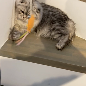 ツーストライクからのの画像