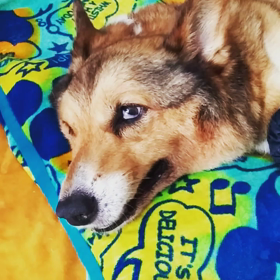 頑張らなきゃねの画像