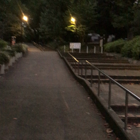 ♪お散歩動画♪代々木公園♪の画像