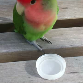 今日の出来ごとの画像