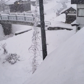 雪の画像