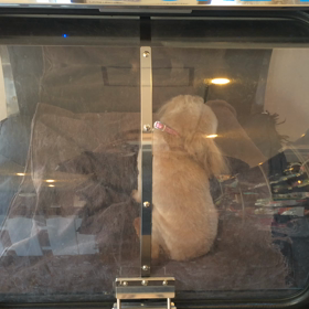 ⬛️2/8〜2/14＊酸素カプセルご利用のお友達⬛️2の画像