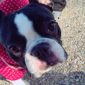 面白いから、もう１回( *´艸｀)ｸｽｸｽの画像