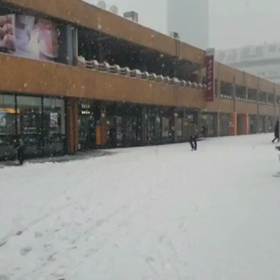 大雪がふりました。  inソウル。の画像