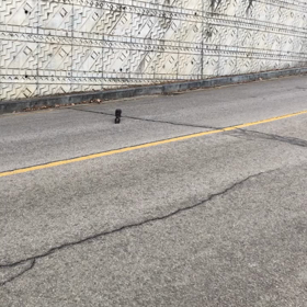 九死一生の画像