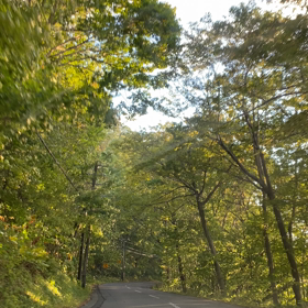 ドライブ中の画像