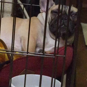 天使！！の画像