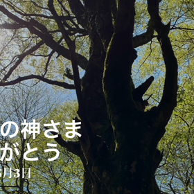お山の神さまは、いろんなことを教えてくれたよ。の画像