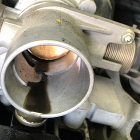 昨日のミドジーのの画像