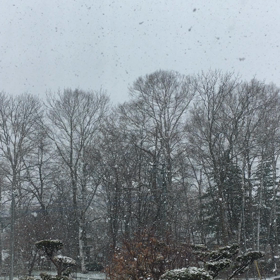 つぶやきの画像