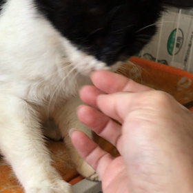 山武市からの子達❤️の画像