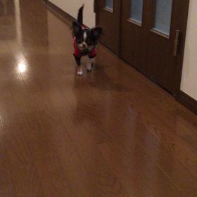 チョコ廊下の画像