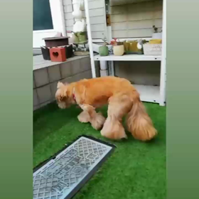 お外で遊ぼ♪♪♪の画像