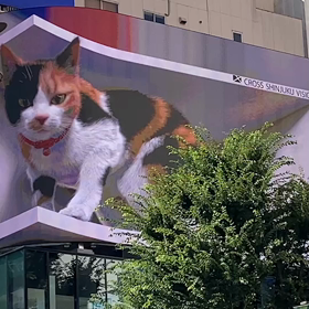 新宿東口の巨大なねこ！の画像