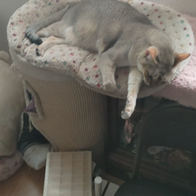 明日は今日よりも。の画像