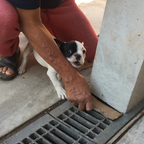 父ちゃんにぴったりの画像