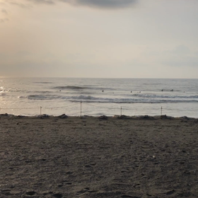 今日の朝一(^.^)の画像