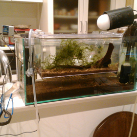 すくすく赤ちゃんの画像