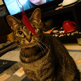 守るためなんだの画像