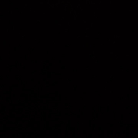 ホルモン注射31回目の画像