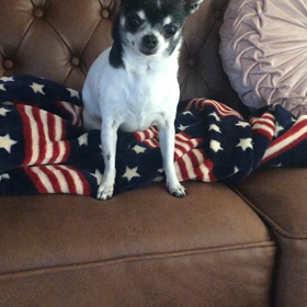 昨日のおもちゃ気に入ったみたいの画像