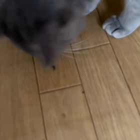 虫と遊ぶ兄弟の画像