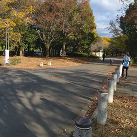 1500m ゴール④の画像