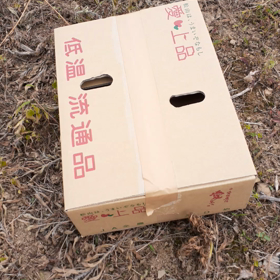 巡りめぐってふるさとへの画像