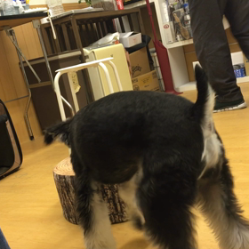 レッツ、チャレンジ！！の画像