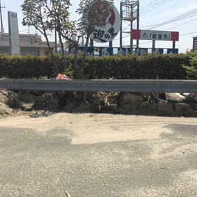 まだまだ長い道のりですの画像