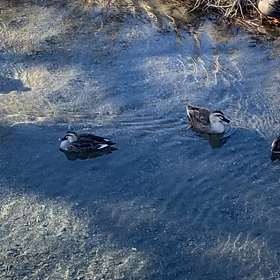 人生がひっくり返った瞬間に立ち会う✨の画像