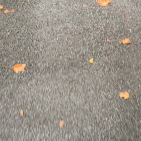 国際ばら ししろおめえばらしの画像