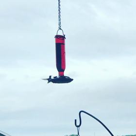 アメリカ生活始まるの画像