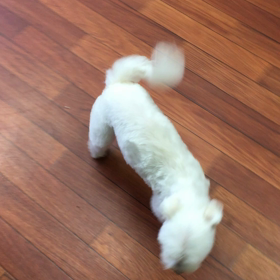 何度みてもの画像