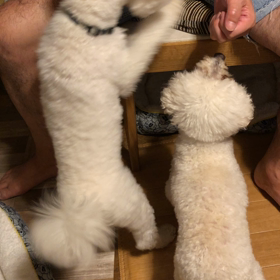 ど　〰　っ　ち　だ　？の画像