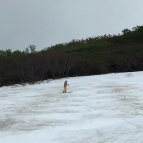 今年の月山①の画像