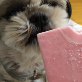 結局、食われるの画像