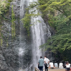 今日の滝の画像