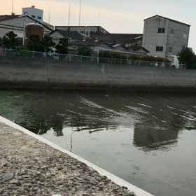 満ちてるー‼️の画像