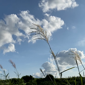 “自然と音遊び” プロジェクト vol.094！の画像