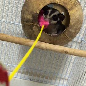 動画✨✨の画像