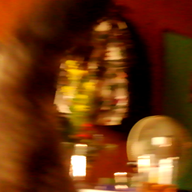 執着性障害の画像