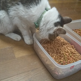 ドライにも興味。の画像