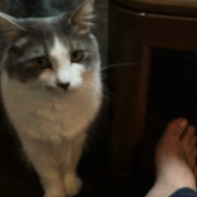 我が家のイケメンNo1の画像