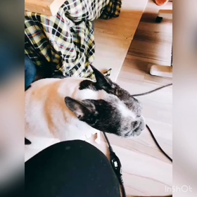 直樹との会話の画像